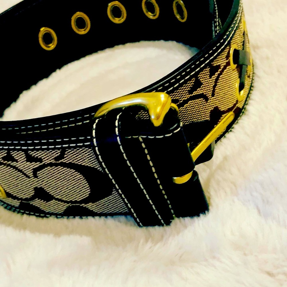 Designer Coach Belt